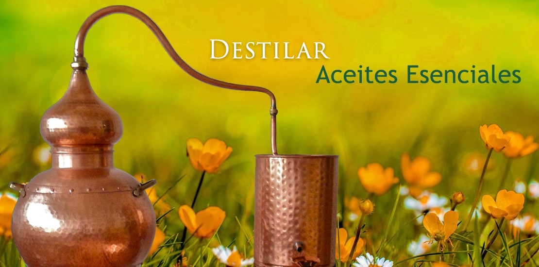 Destilar Aceites Esenciales