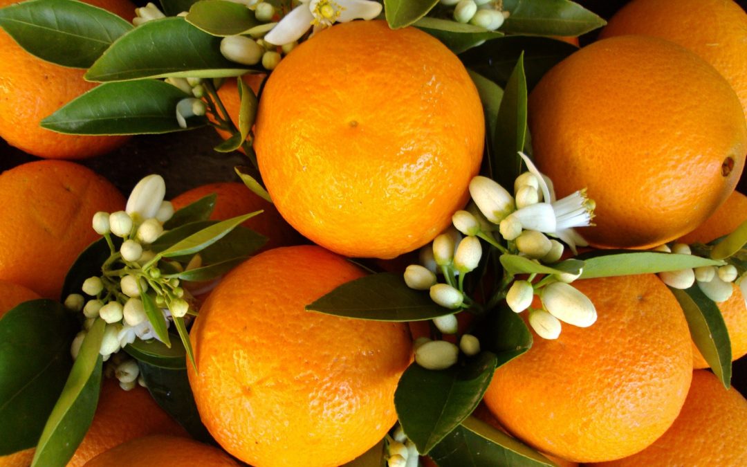 Aceite esencial de naranja, sus innumerables propiedades
